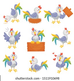 Set of different gray roosters. Vector illustration on a white background.