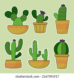 Set of different green cactus in pot drawing on white background, vector illustration