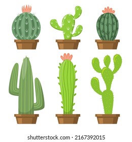 Set of different green cactus in pot drawing on white background, vector illustration