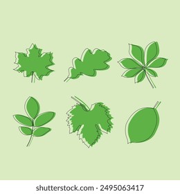 Un conjunto de diferentes hojas verdes