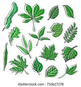 Set of different green leaves. Hand-draw. Vector Illustration