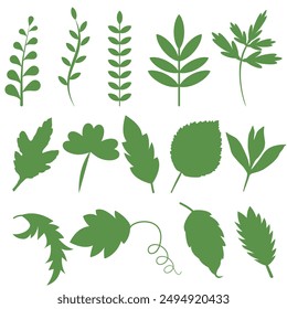 Set of different green leaves isolated