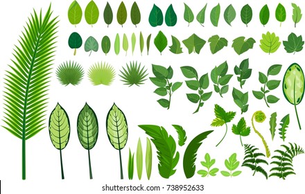 Set of different green leaves on white background