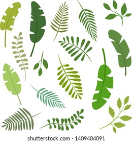 Set of different green leaves silhouettes isolated on white background. Vector floral, botanical and foliage illustration