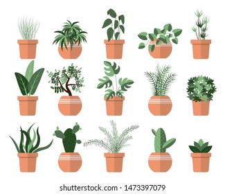 set of different green plant pots isolated on white background. gardening concept