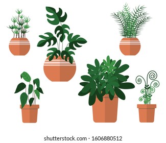 set of different green plant pots isolated on white background. gardening concept