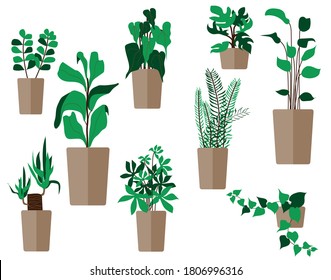 Set of different green plant pots isolated on white background. Gardening and decoration concept
