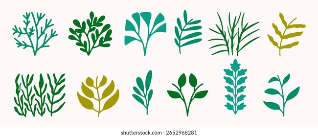 Set of different green plants with branches, leaves and algae. Floral hand drawn collection.