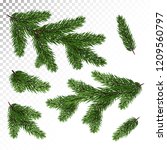 A set of different Green, realistic branch of fir. Fir branches. Isolated on white. Christmas illustration.Vector. Eps10.