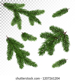 A set of different Green, realistic branch of fir. Fir branches. Isolated on white. Christmas illustration.Vector. Eps10.