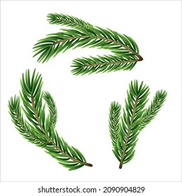 Un conjunto de diferentes ramas verdes y realistas de abeto. Ramas de flores. Aislado en blanco. Ilustración navideña.