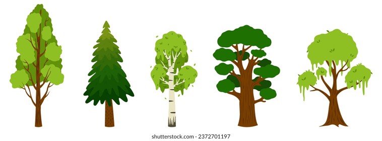 Set of different green trees on white background