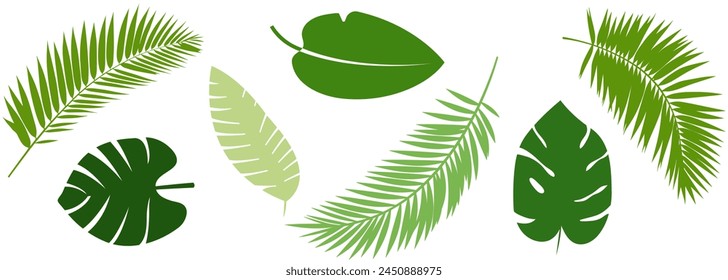 Set of different green tropical leaves. Vector illustration isolated on white background
