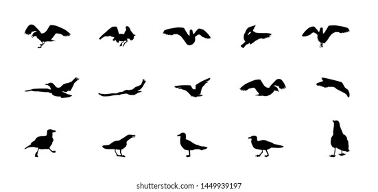 Set of different gull silhouettes. Flying, eating, going, taking off.