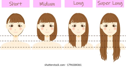 Set of different hair length - short, medium and long, super long.