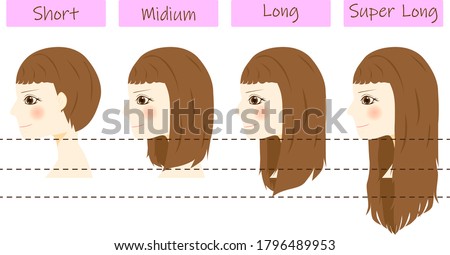 Set of different hair length - short, medium and long, super long.