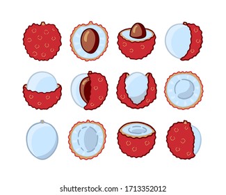 Set different hand drawn bright color icons of lychees fruit isolated on white background. Sweet tropical fruit collection. Simple minimal flat style. Logo design. Vector illustration