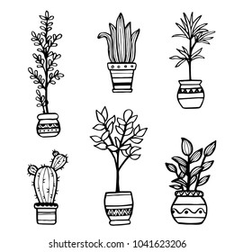 Set of different hand drawn house plants in pots. Isolated decorative plants: cactus, aloe, crassula, flower for your design template, icon, gift card. Sketch style vector illustration. 