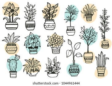 Set of different hand drawn house plants in pots. Isolated decorative plants: cactus, aloe, crassula, flower for your design template, icon, gift card. Sketch style vector illustration. 