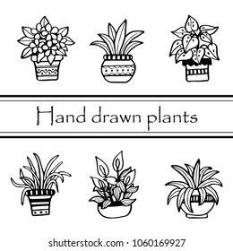 Set of different hand drawn house plants in pots. Isolated decorative plants: cactus, aloe, crassula, flower for your design template, icon, gift card. Sketch style vector illustration. 