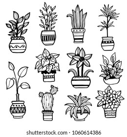 Set of different hand drawn house plants in pots. Isolated decorative plants: cactus, aloe, crassula, flower for your design template, icon, gift card. Sketch style vector illustration. 