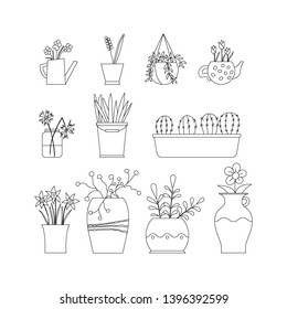Set of different hand drawn house plants. Flowers in pots painted black line on a white background. Flower for your design template, icon. Hand-drawn. Flat design. Vector illustration.