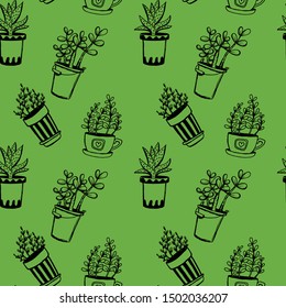 Set of different hand drawn house plants in pots. Isolated decorative plants: aloe, crassula, flower for design template, icon, gift card. Sketch style vector illustration.