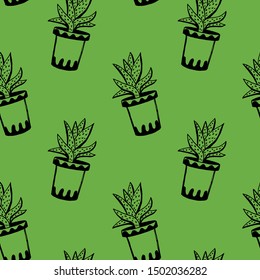 Set of different hand drawn house plants in pots. Isolated decorative plants: aloe, crassula, flower for design template, icon, gift card. Sketch style vector illustration.