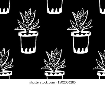 Set of different hand drawn house plants in pots. Isolated decorative plants: aloe, crassula, flower for design template, icon, gift card. Sketch style vector illustration.