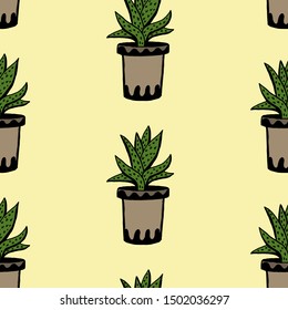 Set of different hand drawn house plants in pots. Isolated decorative plants: aloe, crassula, flower for design template, icon, gift card. Sketch style vector illustration.