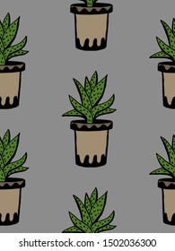 Set of different hand drawn house plants in pots. Isolated decorative plants: aloe, crassula, flower for design template, icon, gift card. Sketch style vector illustration.