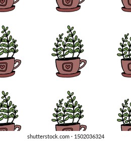 Set of different hand drawn house plants in pots. Isolated decorative plants: aloe, crassula, flower for design template, icon, gift card. Sketch style vector illustration.