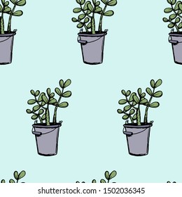 Set of different hand drawn house plants in pots. Isolated decorative plants: aloe, crassula, flower for design template, icon, gift card. Sketch style vector illustration.