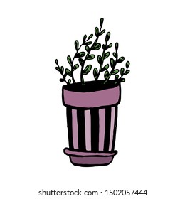 Set of different hand drawn house plants in pots. Isolated decorative plants: aloe, crassula, flower for design template, icon, gift card. Sketch style vector illustration.