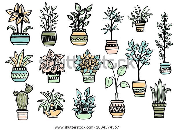 Set Different Hand Drawn House Plants Stock Vector (Royalty Free ...