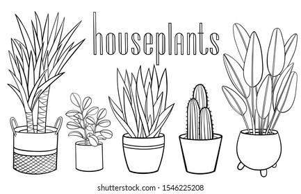 Set of different hand drawn houseplants in planters. Vector outline illustration drawings on a white background  with a handwriting caption.