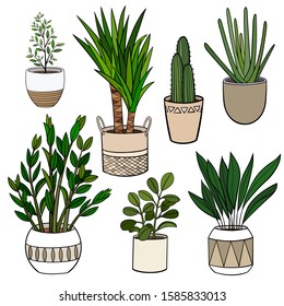 Set of different hand drawn houseplants in planters. Vector outline illustration drawings on a white background