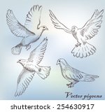 Set of different hand drawn pigeons. Vector eps10.