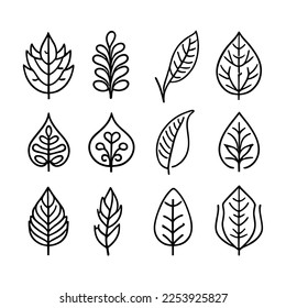 Set of different hand drawn different plants leaves. Vector outline illustration drawings on a white background. Collection of monstera, maranta, calathea, ivy, willow, cherry and other tree leaves