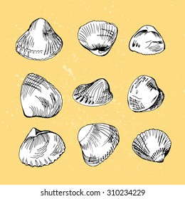 Set of different hand drawn shells
