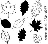 Set of different hand drawn tree leaves in two graphic styles: solid black silhouettes and minimal line art outlines. Perfect template bundle for autumn stickers vinyl cutting scrapbooking projects coloring pages cards invitations. Includes maple oak birch ash leaves elements isolated on white.