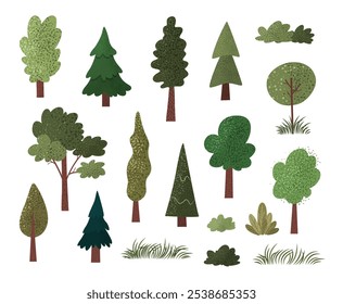 Conjunto de diferentes árboles dibujados a mano, arbustos y hierba con texturas. Árbol de abeto aislado, roble, arce, álamo sobre fondo blanco. Iconos de Naturaleza para diseños ecológicos. Vector Clip arte. 