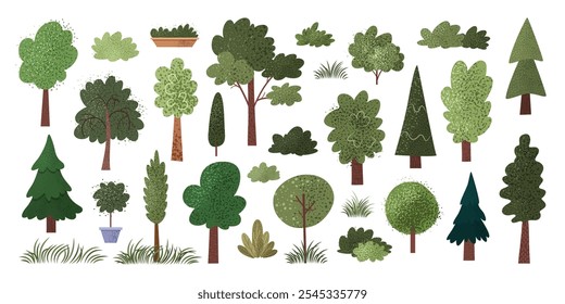 Conjunto de diferentes árboles dibujados a mano, arbustos y hierba con texturas. Plantas aisladas, abeto, roble, arce, álamo, hierba sobre fondo blanco. Iconos de Naturaleza para diseños ecológicos. Vector Clip arte. 