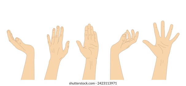 Conjunto de diferentes gestos de mano Brazos levantados con palma de mano abierta. Ilustración del vector