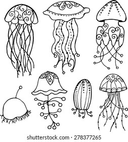 set of different hand painted jellyfish