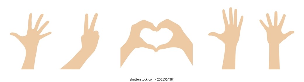 Set of different hand positions. Vector illustration.