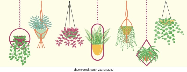 The set with different hanging plants in pots with hangers. Home decorations, urban jungle, hangers in various shapes. Cute vector illustration.