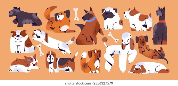 Set of different happy dogs. Cute puppies of various breeds: bulldog, dachshund, poodle. Amusing pups have fun, play, sit and sleep. Adorable pets, domestic animals. Flat isolated vector illustrations