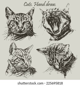 Set with different heads cats. (hand draw)