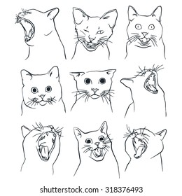 Side View Of A Cat Drawing Drawingtutorials101 Nose - Handshears